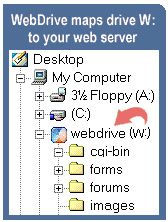 Скриншот программы WebDrive