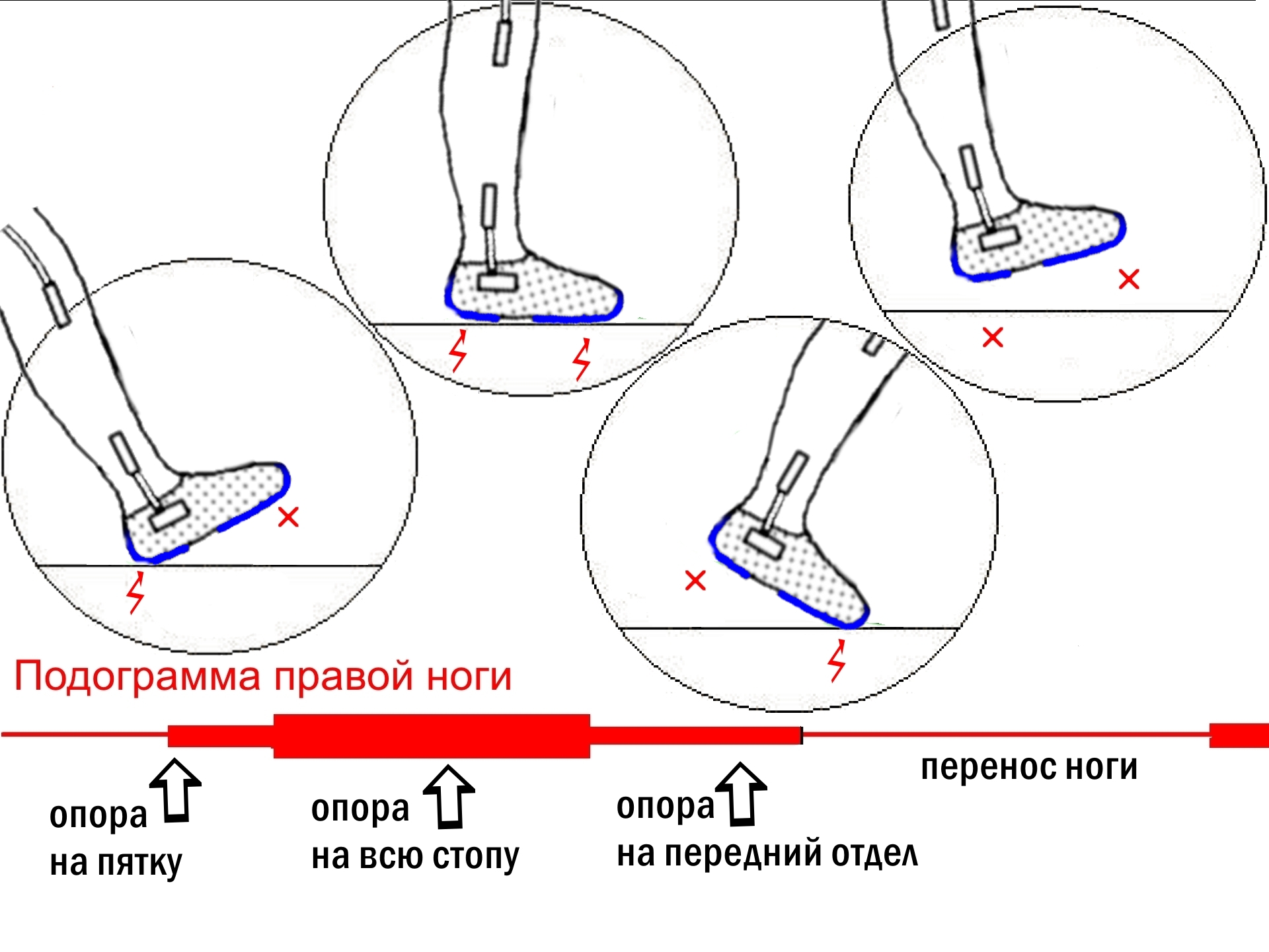 Движение с помощью ног