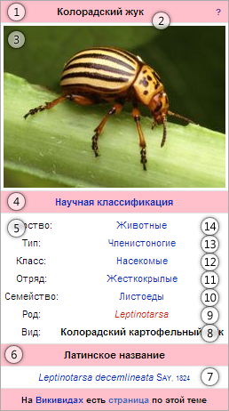 Файл:LDecemSample.png