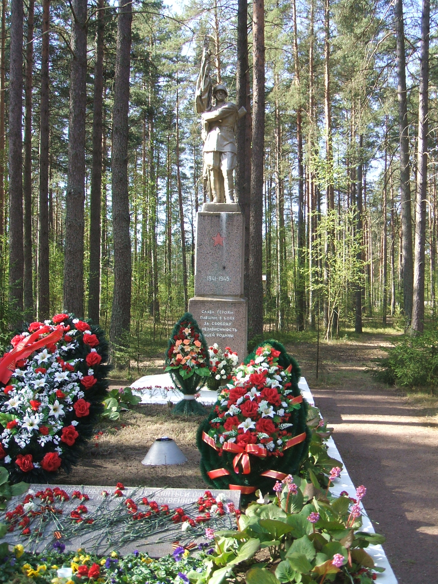 поселок комарово санкт петербург