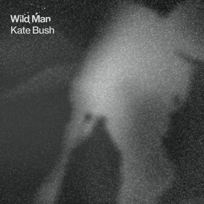 Файл:Wild Man.jpg