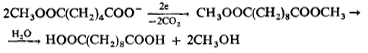 Файл:Syntsebac1.PNG