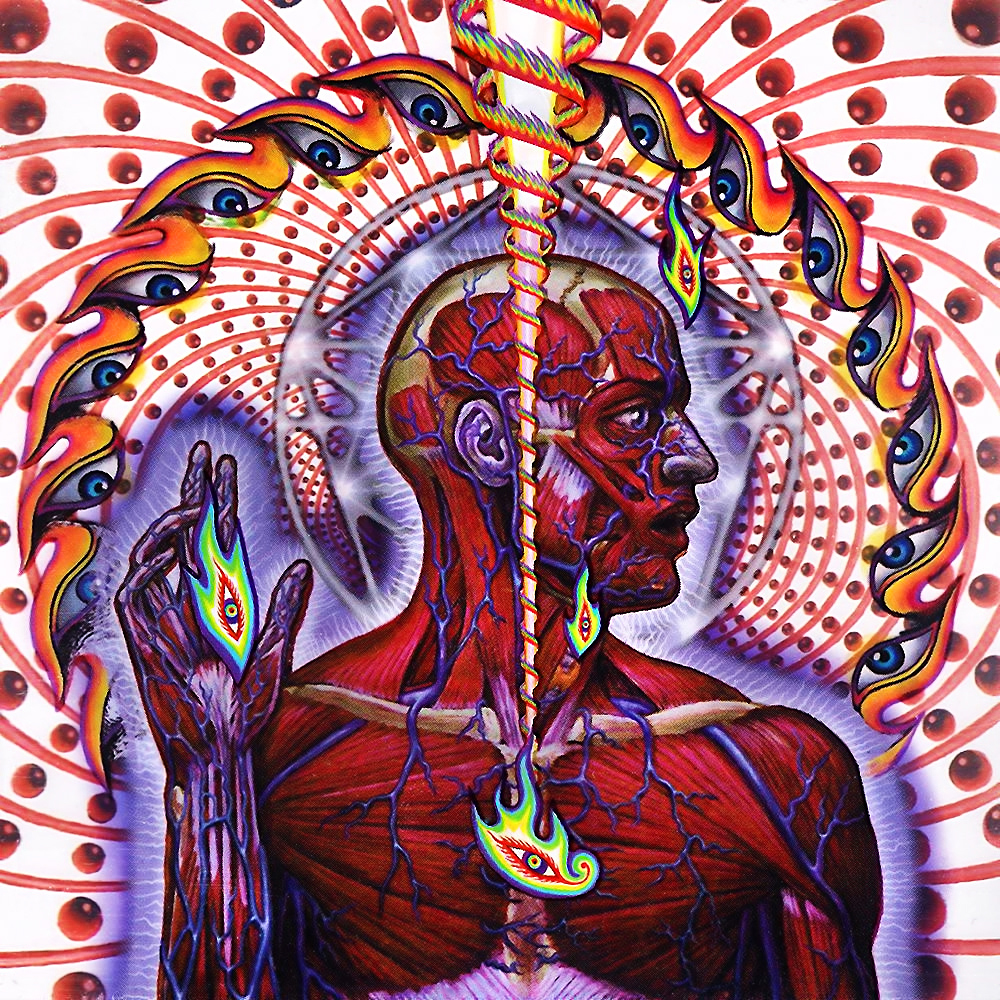 Lateralus definition