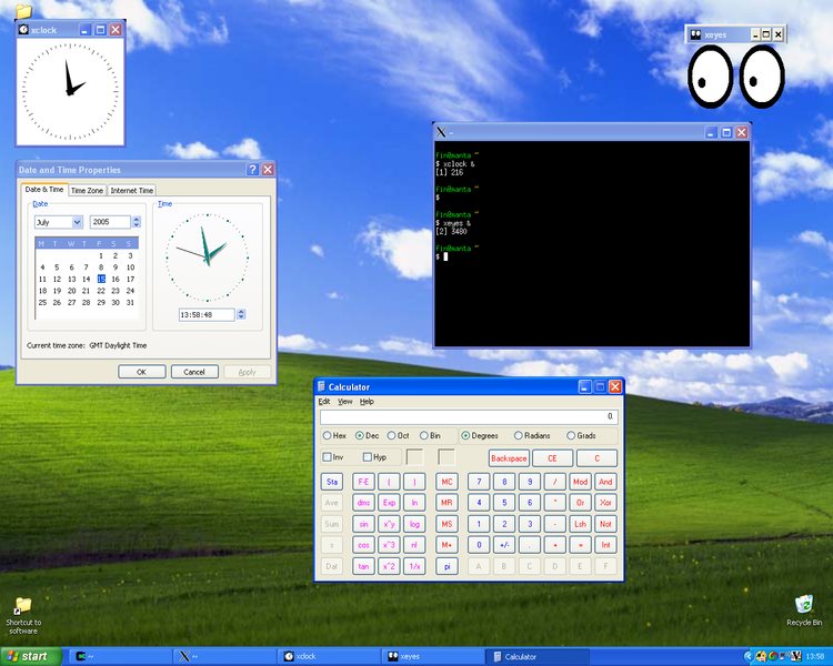 Файл:X11 в Windows XP.jpg