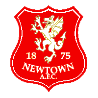 Файл:Newtown FC.PNG