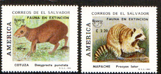 Файл:Stamp El Salvador America UPAEP 1993.jpg