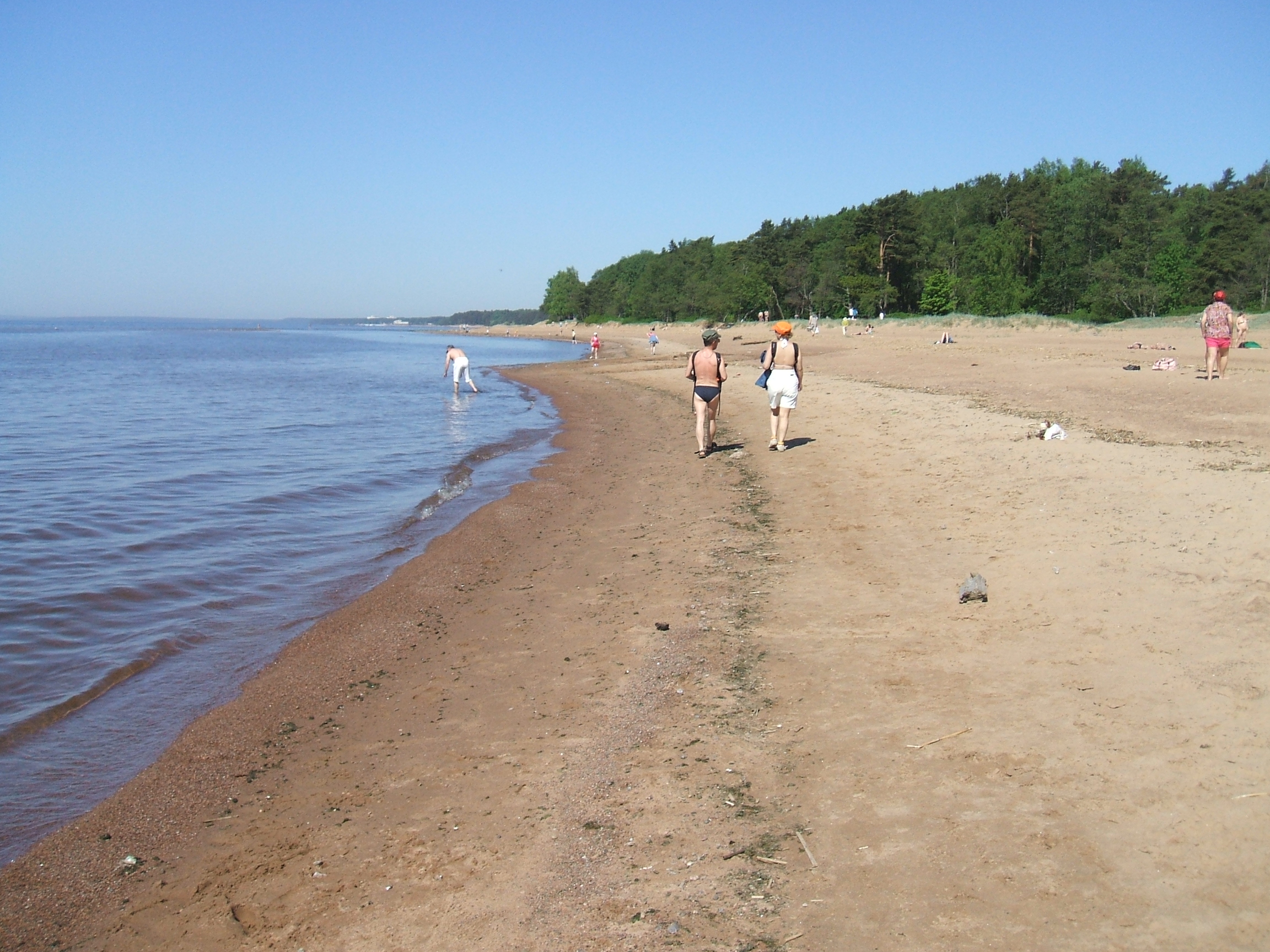 Финский залив Комаровский пляж