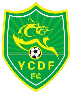 Файл:Jiangsu Yancheng Dingli FC logo.jpg