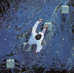 Обложка альбома Алана Парсонса «A Valid Path» (2004)