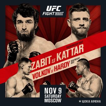 Файл:Poster UFC FN 163.jpg