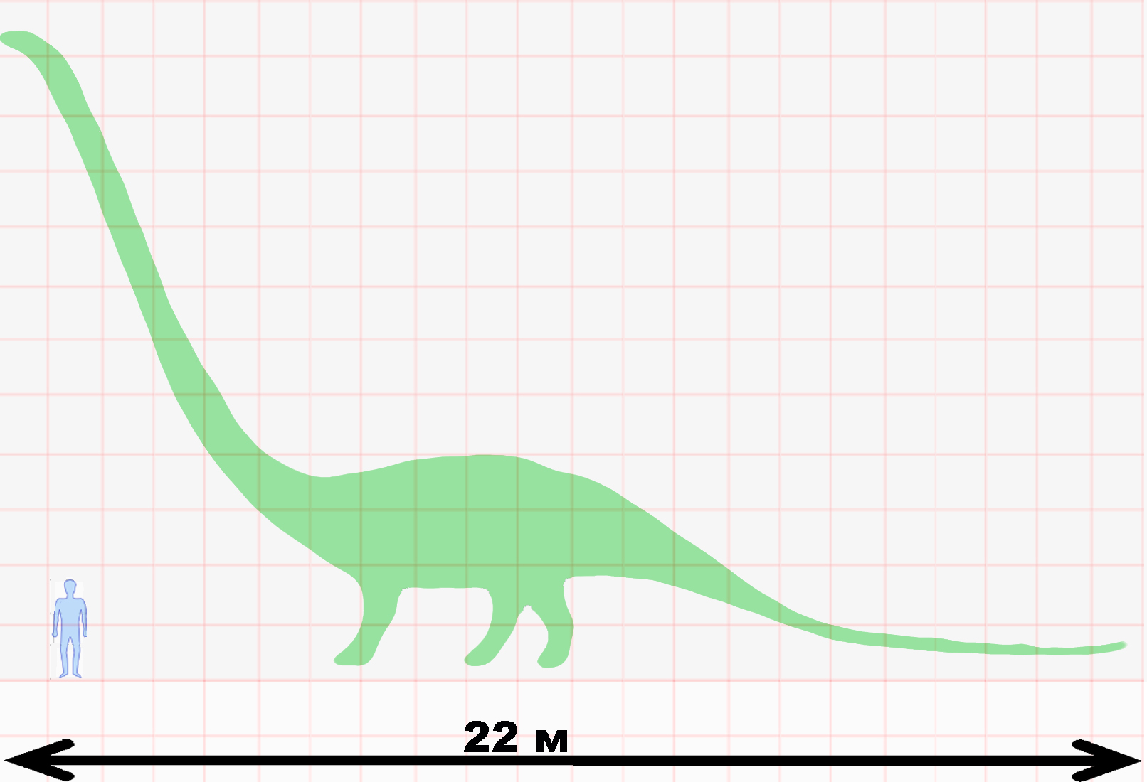 Маменчизавр рост