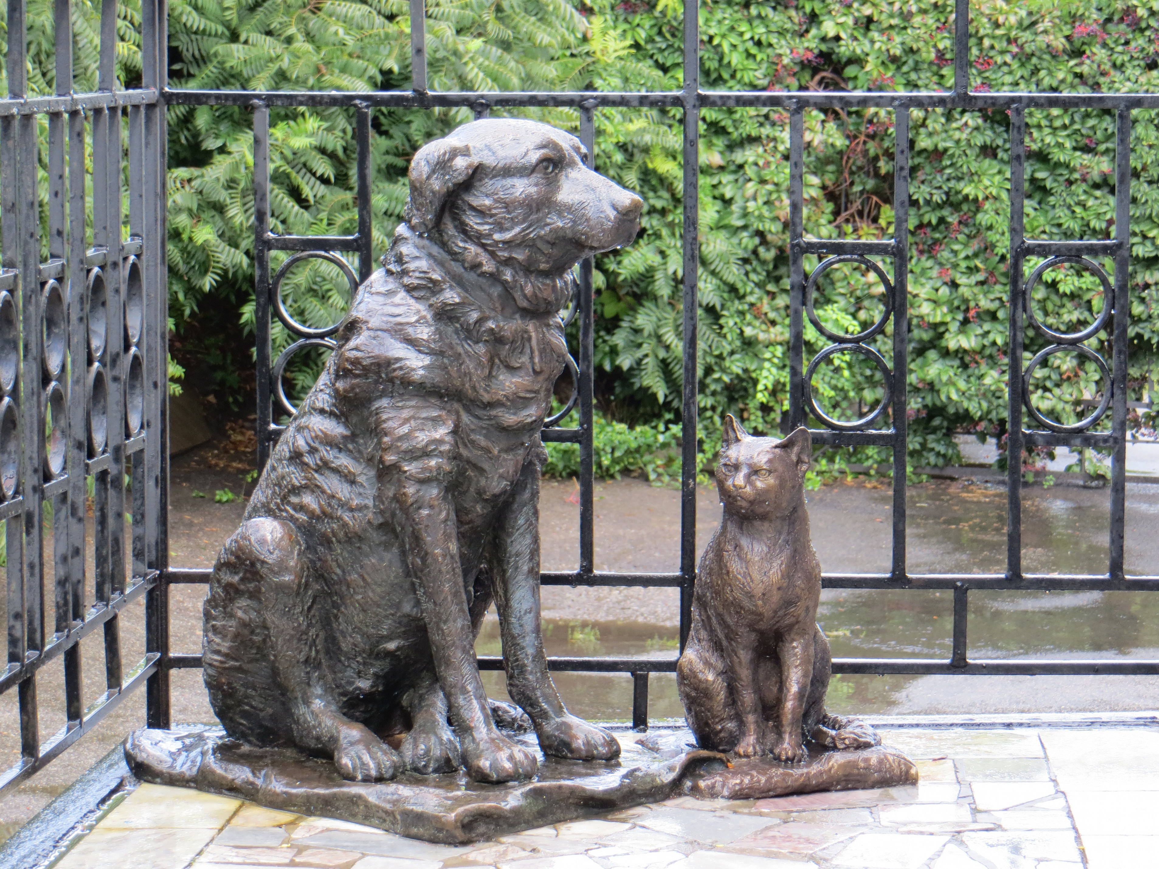 Памятник собаке необычные