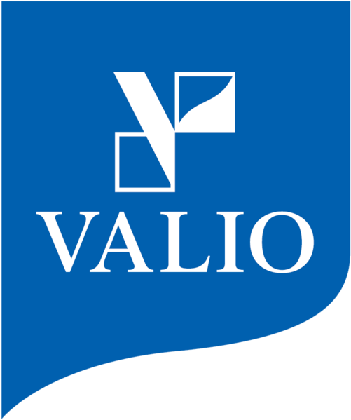 Файл:501px-Valion logo.png