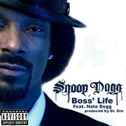 Dogg feat. Nate Dogg Snoop Dogg. Boss Life Snoop Dogg. Snoop Dogg обложки альбомов. Nate Dogg 2007.