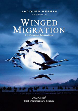 Файл:Winged Migration.jpg