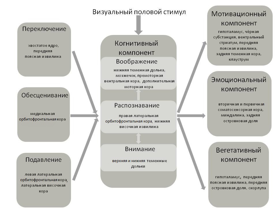 Список сексуальных извращений(полагаю, что далеко не полный) | Пикабу