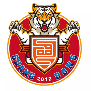 Файл:Guangdong Huananhu FC 2019 logo.jpg