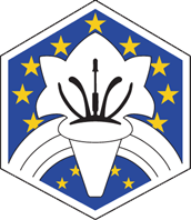 Файл:Rhyl fc badge.png