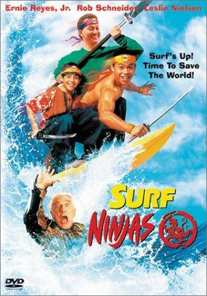 Файл:Surfninjas.jpg