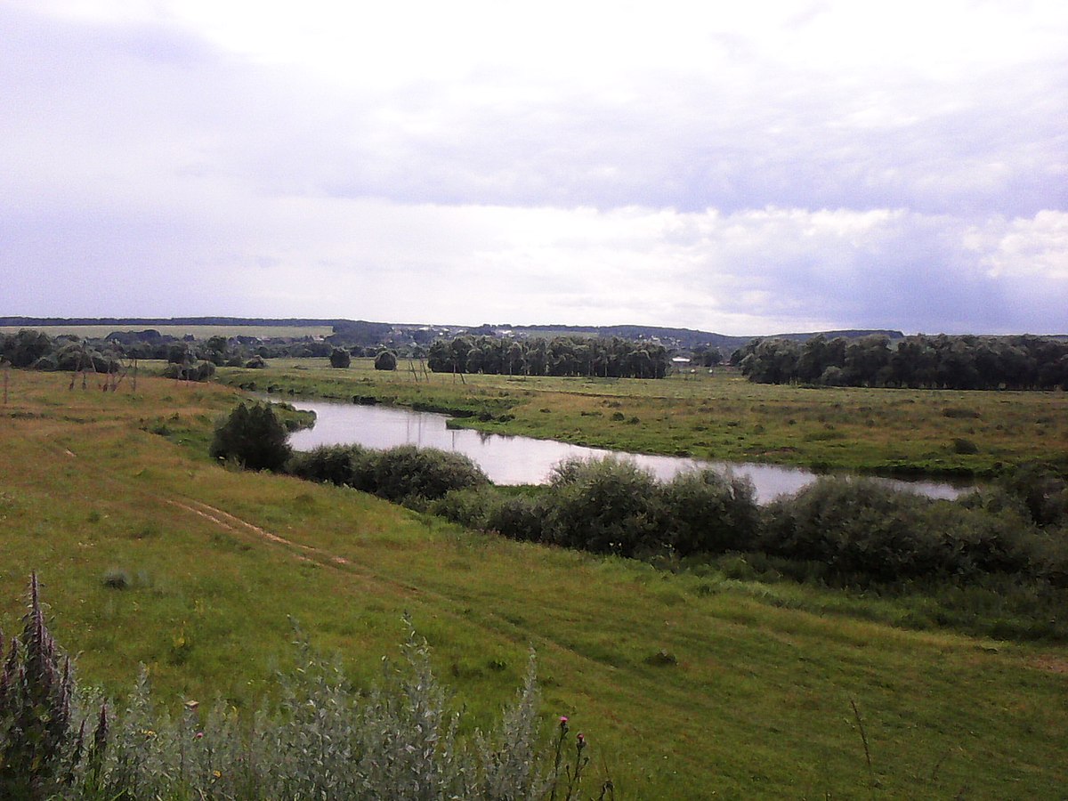 Верея ревякино. Рыбалка на Протве в Кременках. Река Протва село Борисово. Река Протва рыбалка. Река Протва Московская область рыбалка.