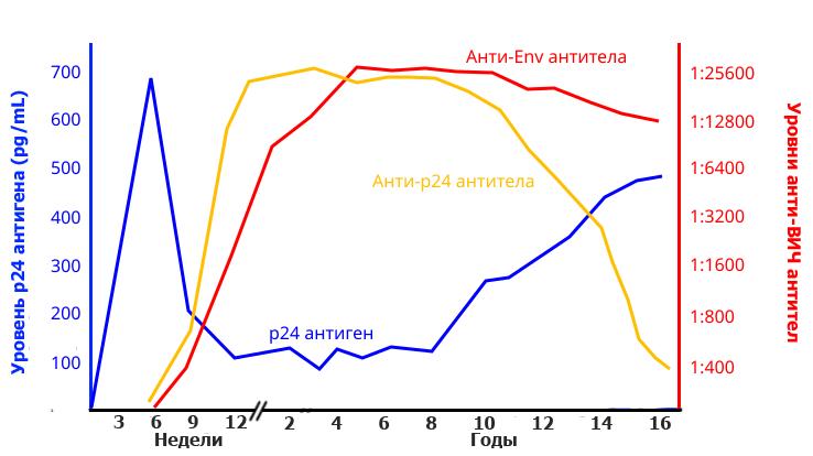 Файл:HIV Antigen Antibody.svg