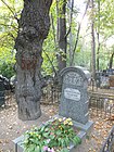 Могила Дмитрия Кедрина под 300-летним дубом на Введенском кладбище в Москве (сентябрь 2012)