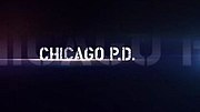 Миниатюра для Полиция Чикаго
