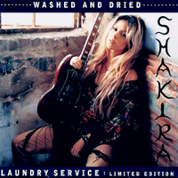 Laundry Service: Washed and Dried