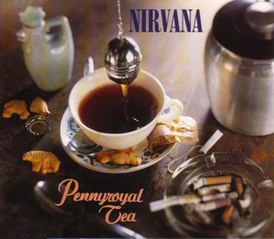 Обложка сингла Nirvana «Pennyroyal Tea» (1994)
