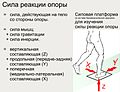 Миниатюра для версии от 08:00, 4 сентября 2007