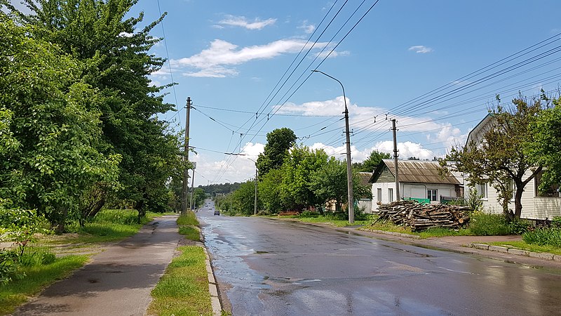 конец улицы: в направлении Старого Белоуса