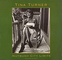 Nutbush City Limits(The 90s Version)