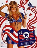 Миниатюра для The Great American Bash (2005)