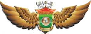 Эмблема футбольного клуба «Беркут» Армянск