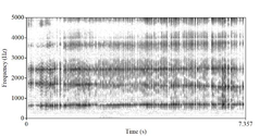 Спектрограммы голоса во время штробаса (сверху) и фрай-скриминга (снизу). Во время штробаса спектрограмма показала чёткие импульсы без периодической гармоники, а во время фрай-скрима был показан только шум. Также можно заметить частоту около 500 Гц без натурального звукоряда[поясн. 3]. Данная спектрограмма указывает на непериодическую вибрацию голосовых связок[5]. 