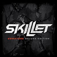 Skillet     -  8