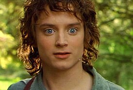 Elijah Wood hahmona Frodo Baggins