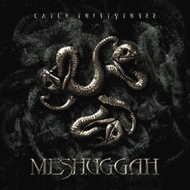 Meshuggah albüm kapağı "Otuz Üçü Yakala" (2005)