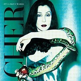 Cher albüm kapağı It's a Man's World (1995)