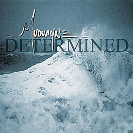 Обложка сингла Mudvayne «Determined» (2005)