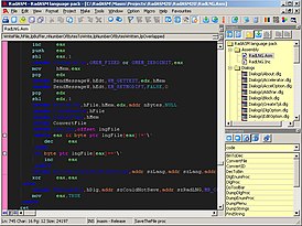 Скриншот программы RadASM