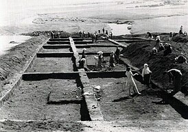 Раскопки Т. Н. Никольской. 1959 год