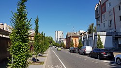 Rua de Artesanato (Chernihiv) 7.jpg