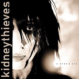 Обложка альбома Kidneythieves «Zerøspace» (2002)