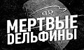 Миниатюра для версии от 17:49, 23 октября 2017