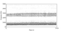 Спектрограммы голоса во время штробаса (сверху) и фрай-скриминга (снизу). Во время штробаса спектрограмма показала чёткие импульсы без периодической гармоники, а во время фрай-скрима был показан только шум. Также можно заметить частоту около 500 Гц без натурального звукоряда[поясн. 3]. Данная спектрограмма указывает на непериодическую вибрацию голосовых связок[5]. 