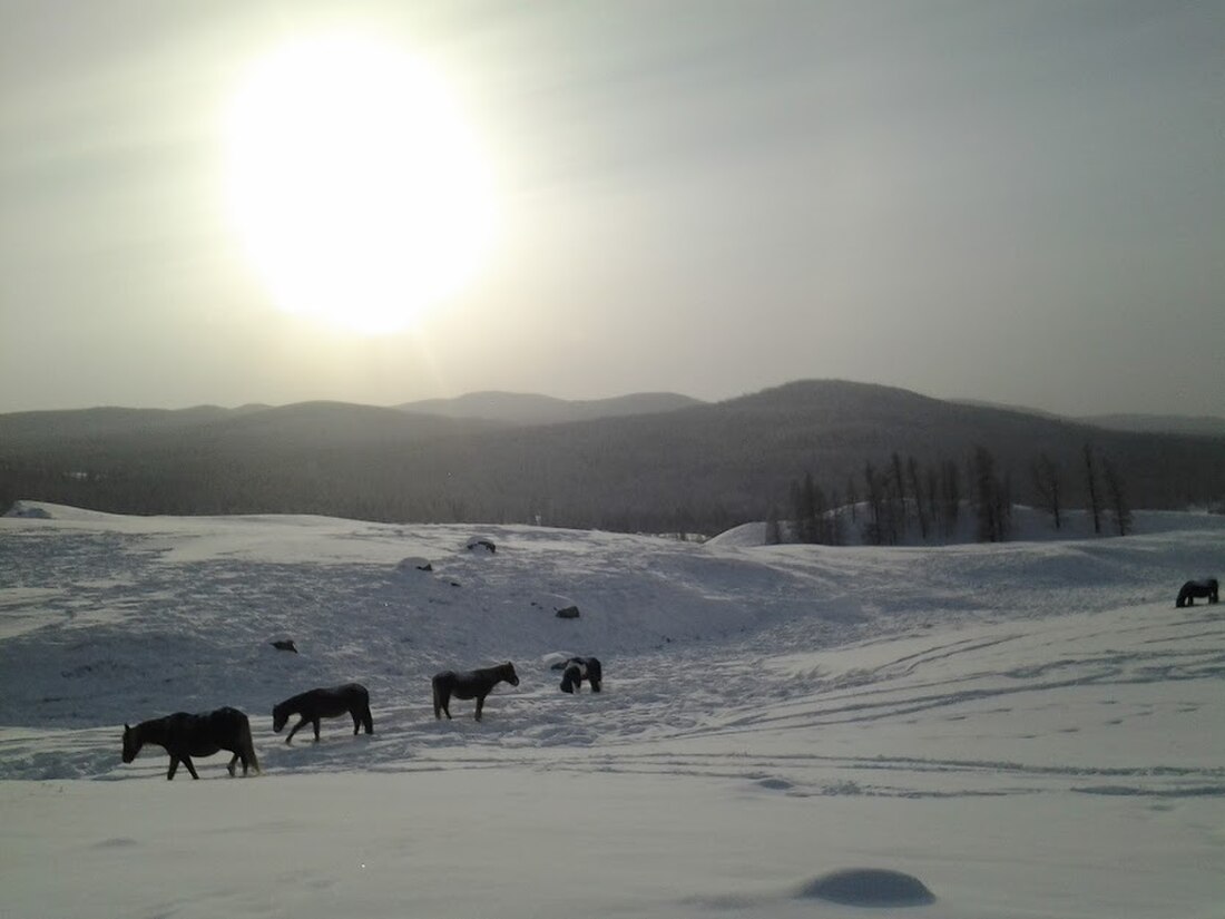 Улаганское плато