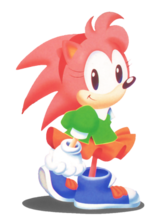 Ранний образ Эми Роуз, появившийся в игре Sonic the Hedgehog CD.