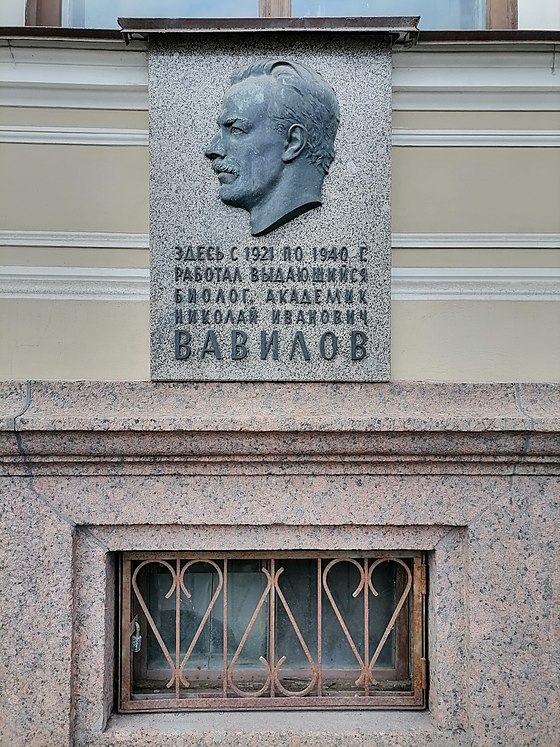 Реферат: Трагическая судьба Н.И. Вавилова на фоне политических событий в СССР