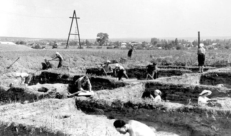 Файл:Донецкое городище 1960.jpg